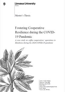 Cover Image Fostering Cooperative Resilience during the COVID-19 Pandemic