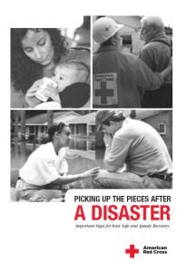 Cover Image Picking up the pieces after a disaster