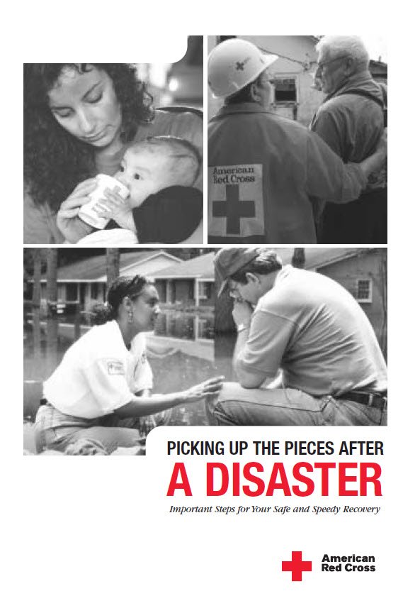 Cover Image Picking up the pieces after a disaster