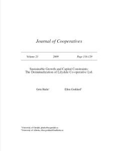 Cover Image Sustainable Growth and Capital Constraints