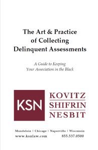 Cover Image The Art & Practice of Collecting Delinquent Assessments