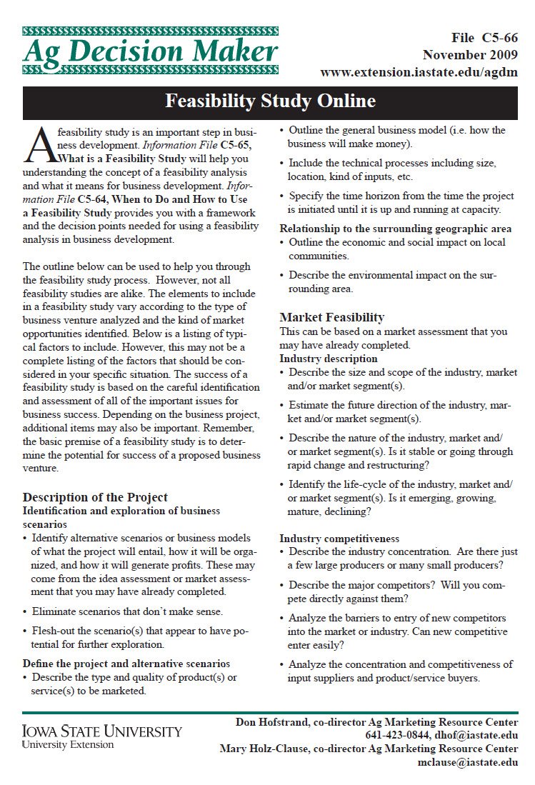 feasibility study outline